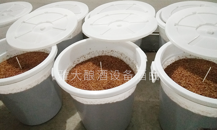 10.7做高粱酒時控制好發(fā)酵溫度是關鍵