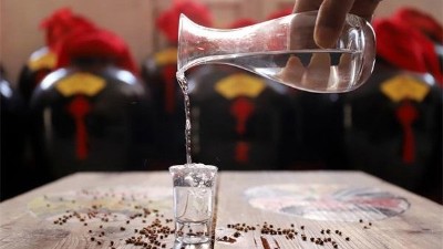 為什么有錢(qián)人也開(kāi)始喝熟料釀酒設(shè)備釀造的散裝純糧酒了
