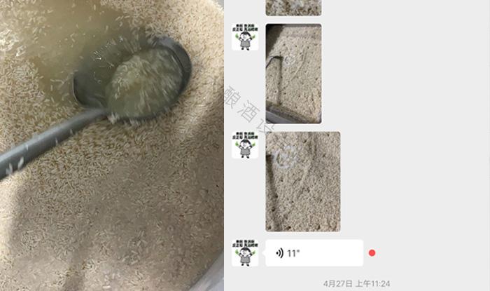 受疫情影響不讓養(yǎng)蛇，用電加熱釀酒設(shè)備做酒迎來新未來！ 3