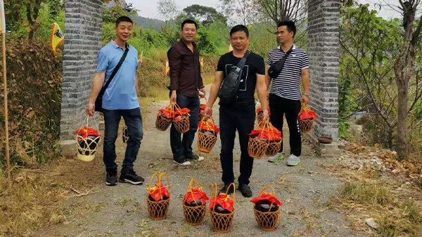 引進小型酒廠釀酒設備升級老酒坊，武功山黑糯米酒坊變身“釀酒農(nóng)莊”