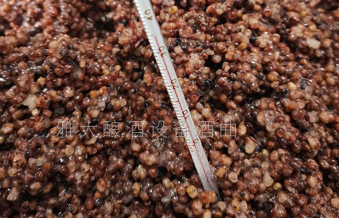 25℃-28℃活性更強、出酒率更高
