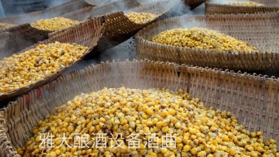 看過來，用玉米釀酒設(shè)備制作整料玉米酒的標(biāo)準(zhǔn)教程在這里！