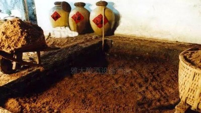 用高粱釀酒設(shè)備做濃香型白酒，酒好全憑窖池老！