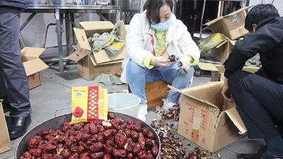 “五一”假期出游新風(fēng)向，自駕車來大型釀酒設(shè)備廠家實(shí)操釀紅棗酒