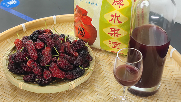 雅大釀酒設(shè)備廠邀您來(lái)酒廠學(xué)桑葚酒技術(shù)，品桑葚美酒！