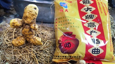 電加熱釀酒設備釀造黃精酒技術