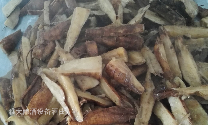 10.9雅大現(xiàn)場教學員做葛根酒