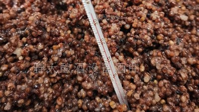 用燒酒設(shè)備在家開個酒坊，嚴把質(zhì)量關(guān)才是核心！