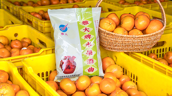 桔子滯銷怎么辦，試試用果酒釀酒設(shè)備將它們釀成酒吧！