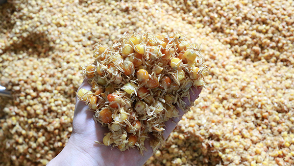 驚！夏季用白酒蒸餾設(shè)備做固態(tài)酒時(shí)加入輔料作用這么大！