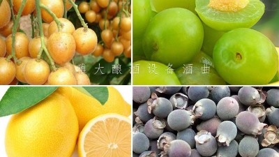 藏在果園里的果酒釀酒設(shè)備酒坊，生意卻依然火爆！