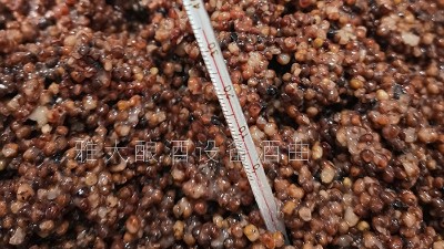 用小型釀酒設(shè)備釀的養(yǎng)生酒，是發(fā)酵酒、蒸餾酒還是配制酒？