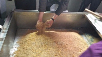 電加熱釀酒設(shè)備做固態(tài)酒，是否加輔料對(duì)口感有影響嗎？