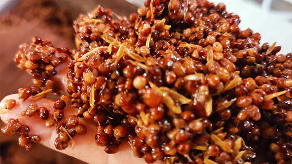 用釀酒蒸餾設(shè)備做固態(tài)高粱時(shí)，糖化不起來(lái)怎么辦？