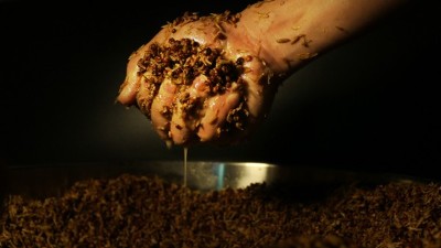 傳統(tǒng)老酒坊得不到傳承怎么辦？試試這款小型酒廠釀酒設(shè)備